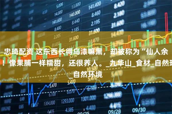 忠琦配资 这东西长得乌漆嘛黑，却被称为“仙人余粮”！像果脯一样糯甜，还很养人。_九华山_食材_自然环境